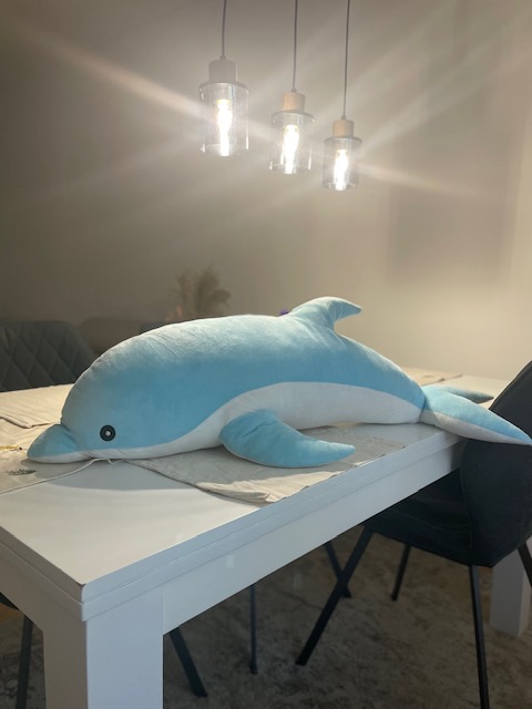 Dvouhodinový workshop, kterým vás porodní asistentka provede porodem